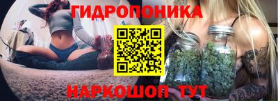 амф Кулебаки